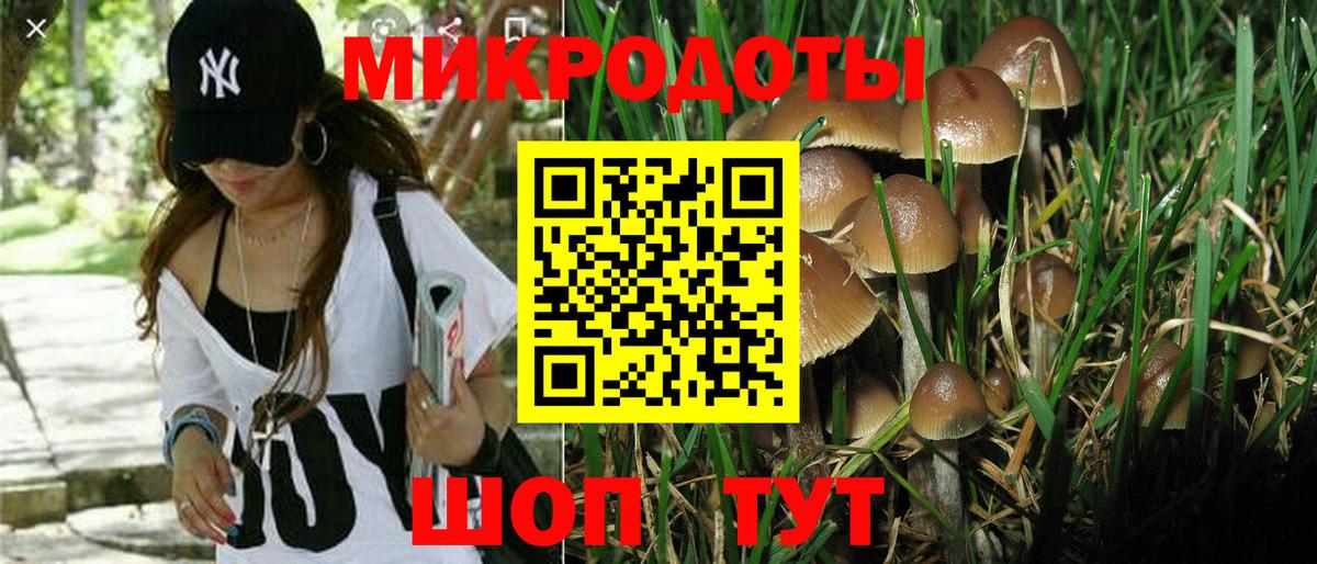 Галлюциногенные грибы мицелий Киров